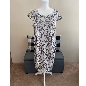 Calvin Klein Lace Shift Dress Size 16W